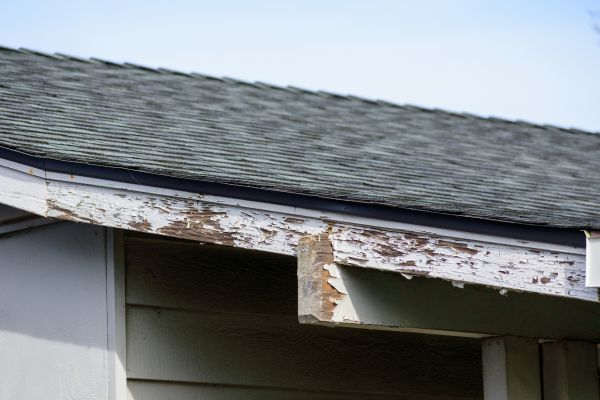 Vero Beach Wood Rot Repair
