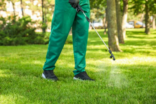 Vero Beach Lawn Treatment